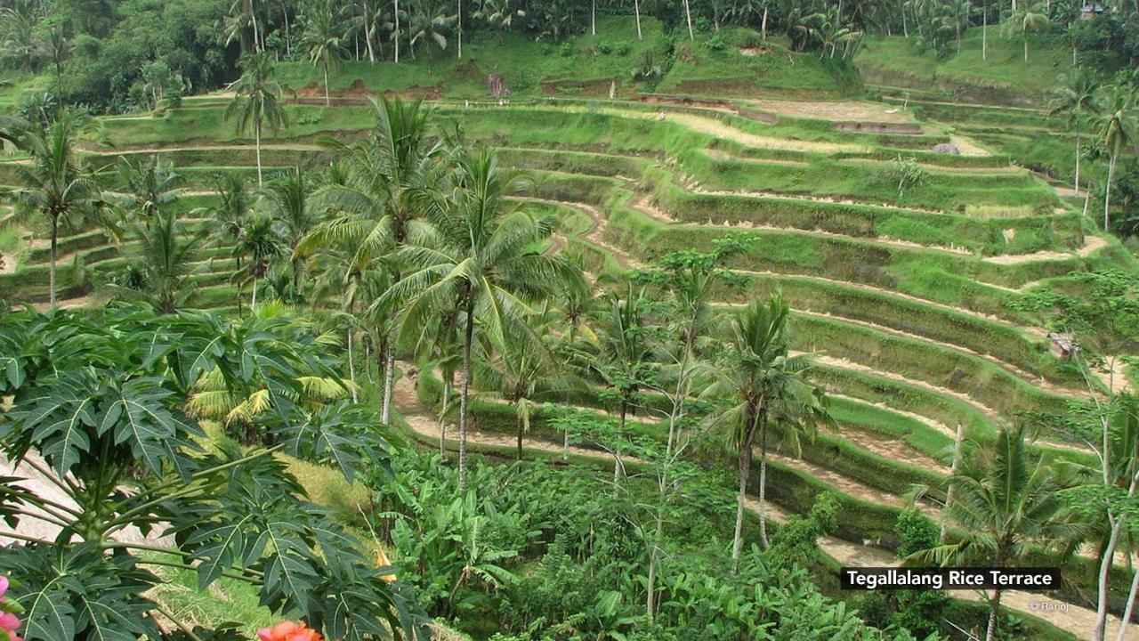 Zen Sriwedari 2 Hotel 2*